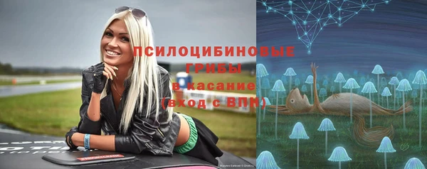 первитин Новодвинск