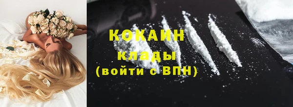 первитин Новодвинск