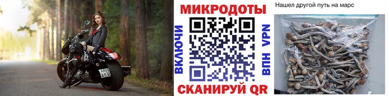 Галлюциногенные грибы MAGIC MUSHROOMS  Купить  Туапсе 